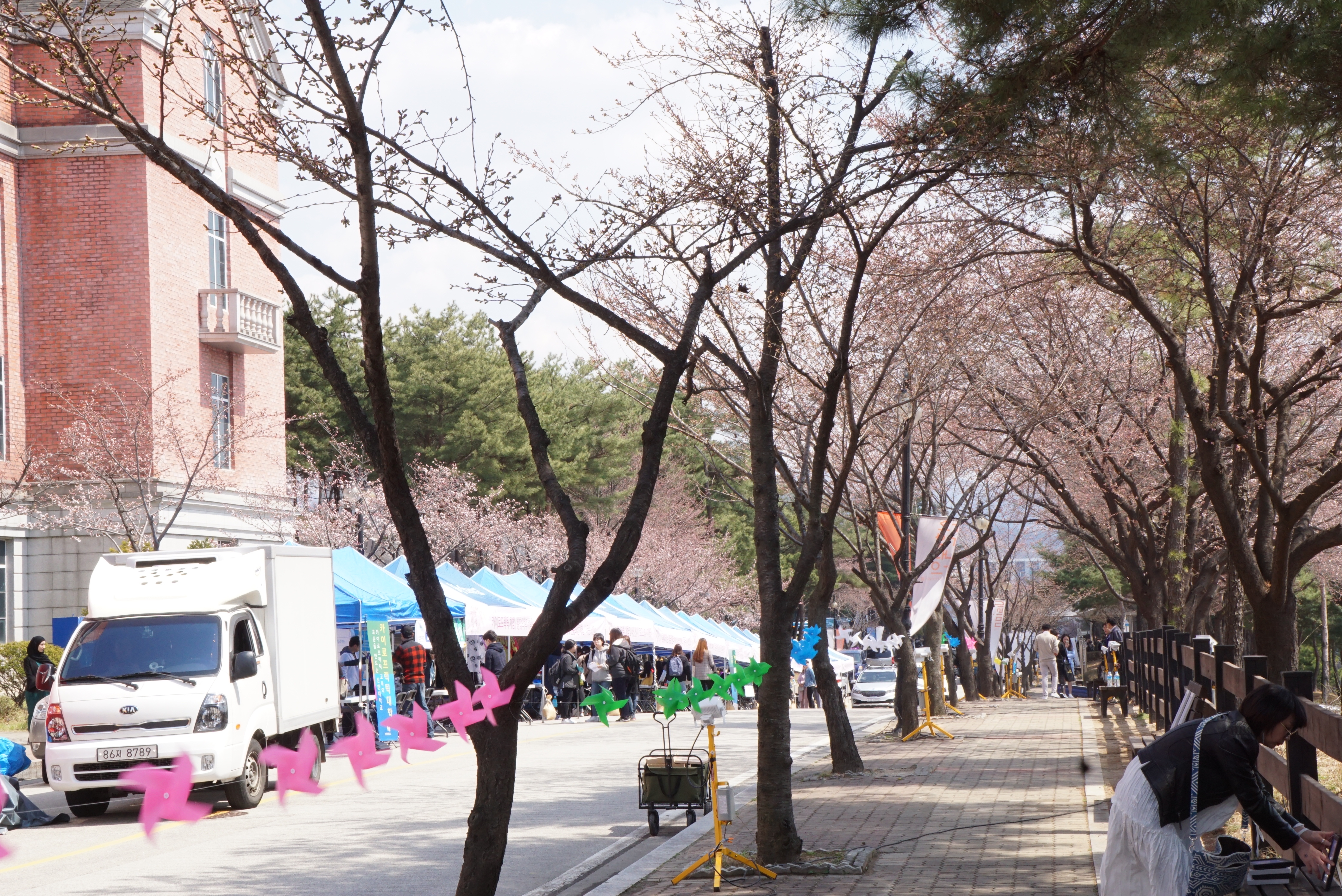 제 3회 빛벚축제 3번째 첨부파일 이미지